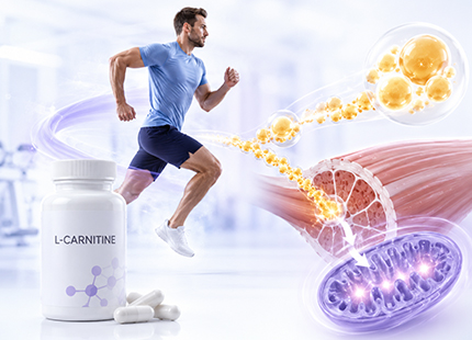 L-Carnitine: Does It Really Burn Fat or Does It Require Physical Effort?
