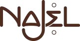 ناجيل