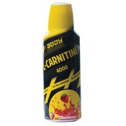 ronnie coleman l carnitine xs Ronnie Coleman L-Carnitine XS Liquid 4000mg